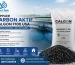 Supplier Karbon Aktif Calgon F100 USA